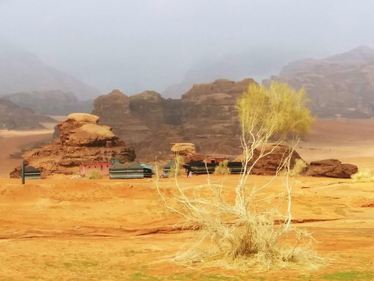 Bedouin Culture Camp 와디럼 외부 사진